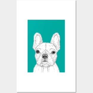 French Bulldog Portrait ( teal background ) Posters and Art